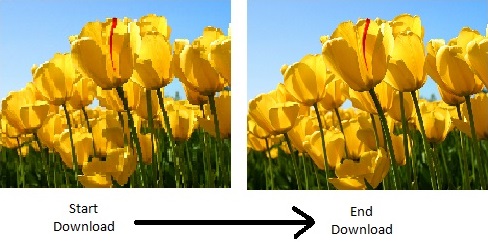 Image Format Baseline Jpeg Vs Progressive Jpeg